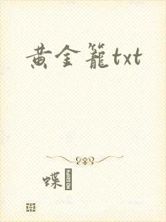 黄金笼txt