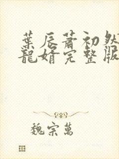 叶辰萧初然上门龙婿完整版