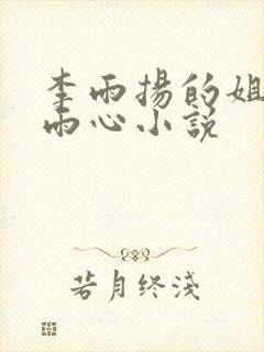 李雨扬的姐姐李雨心小说