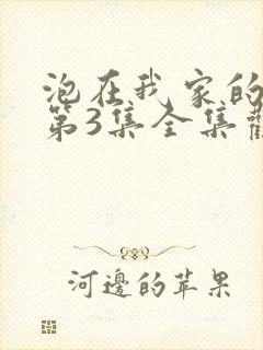 泡在我家的辣妹第3集全集观看动漫