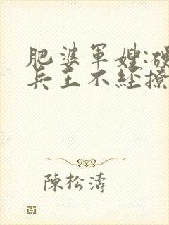 肥婆军嫂:硬汉兵王不经撩封面