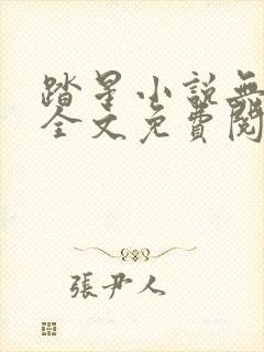 踏星小说无弹窗全文免费阅读