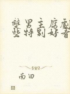 双男主腐剧有哪些特别好看的动漫