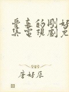 爱来的刚好60集电视剧免费观看