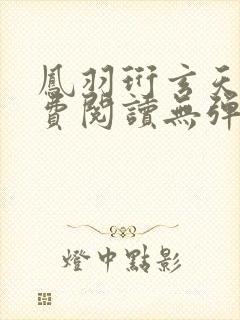 凤羽珩玄天冥免费阅读无弹窗