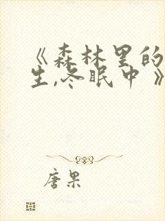 《森林里的熊先生,冬眠中 》封面