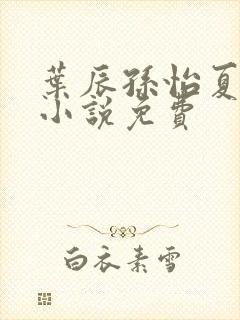 叶辰孙怡夏若雪小说免费