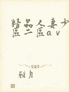 精品人妻少妇一区二区aⅴ