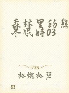 森林里的熊先生冬眠时03封面