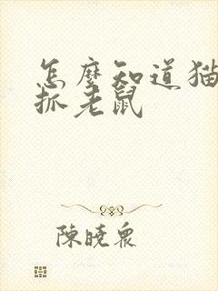 怎么知道猫抓不抓老鼠