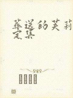 葬送的芙莉莲设定集