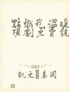 点燃我温暖你电视剧免费观看不卡