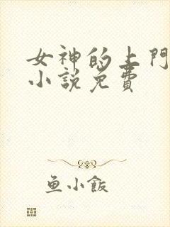 女神的上门豪婿小说免费封面