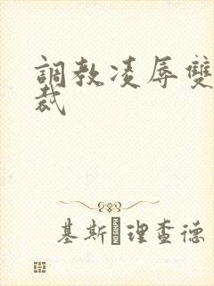 调教凌辱双性总裁