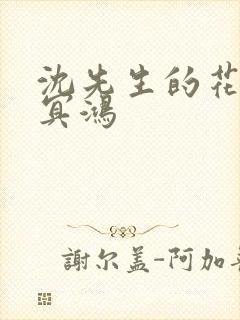 沈先生的花式调冥鸿封面