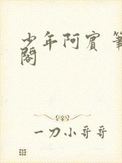 少年阿宾 笔趣阁