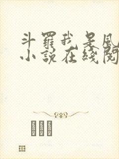 斗罗我是风笑天小说在线阅读