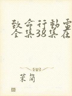 致命行动电视剧全集38集在线观看封面