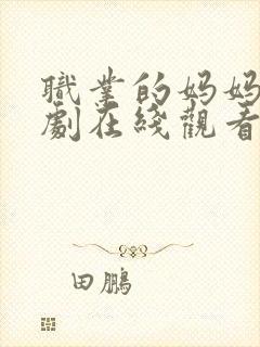 职业的妈妈电视剧在线观看免费全集封面