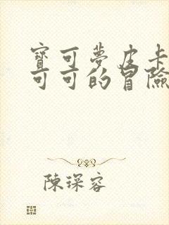 宝可梦皮卡丘和可可的冒险封面