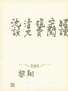 沈清砚宋昭汐小说免费阅读最新章节封面