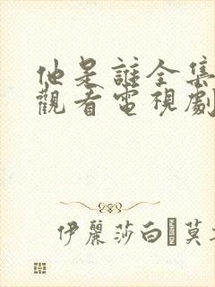 他是谁全集免费观看电视剧高清