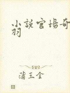 小说官场奇才陆羽