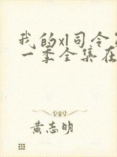 我的xl司令第一季全集在线观看动漫