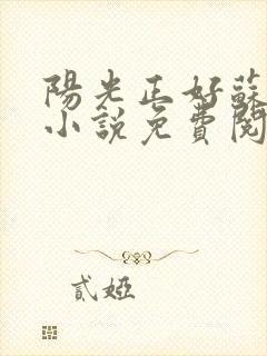 阳光正好苏玥玥小说免费阅读封面