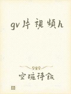 gv片视频h