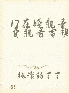 17在线观看免费观看电视剧高清封面