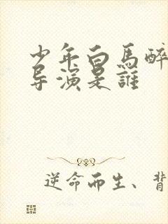 少年白马醉春风导演是谁