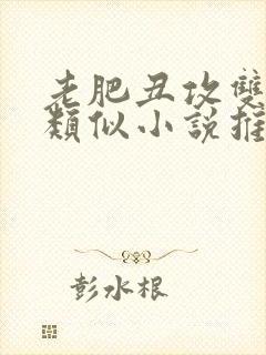 老肥丑攻双海棠类似小说推荐