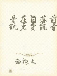 爱在日落前王沐凯免费观看