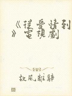 《从爱情到幸福》电视剧