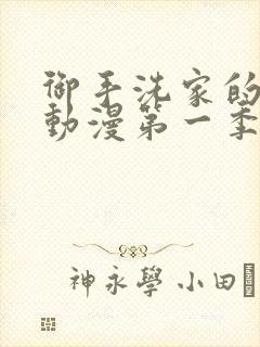 御手洗家的破洞动漫第一季封面