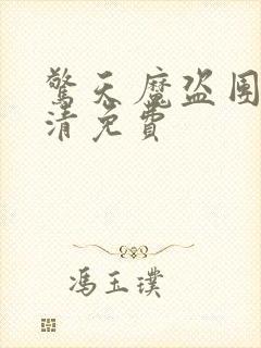 惊天魔盗团2高清免费