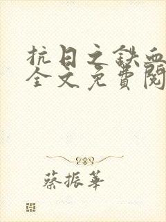 抗日之铁血英雄全文免费阅读封面