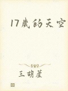 17岁的天空