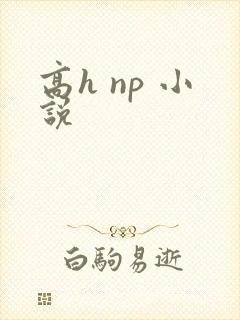 高h np 小说封面