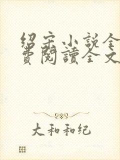 绍宋小说全文免费阅读全文封面