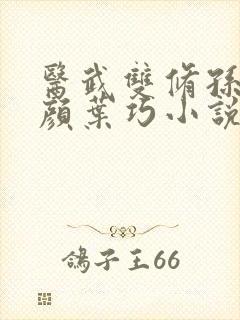 医武双修孙哲朱颜叶巧小说封面