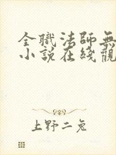 全职法师无删减小说在线观看封面