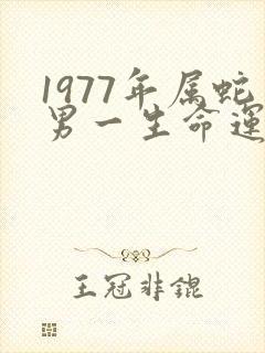 1977年属蛇男一生命运怎么样封面