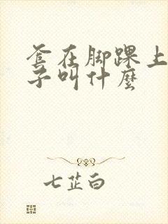 套在脚踝上的袜子叫什么