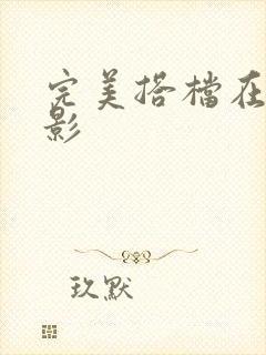 完美搭档在线电影