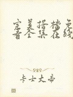 完美搭档免费观看全集在线观看电影