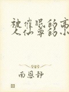 被催眠的高冷美人仙尊的小说黄蛮