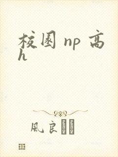 校园 np 高h封面
