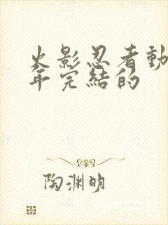 火影忍者动漫哪年完结的